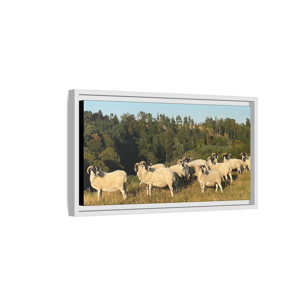 Framed Matte Canvas Print — Pastoral Sheep Landscape Wall Art