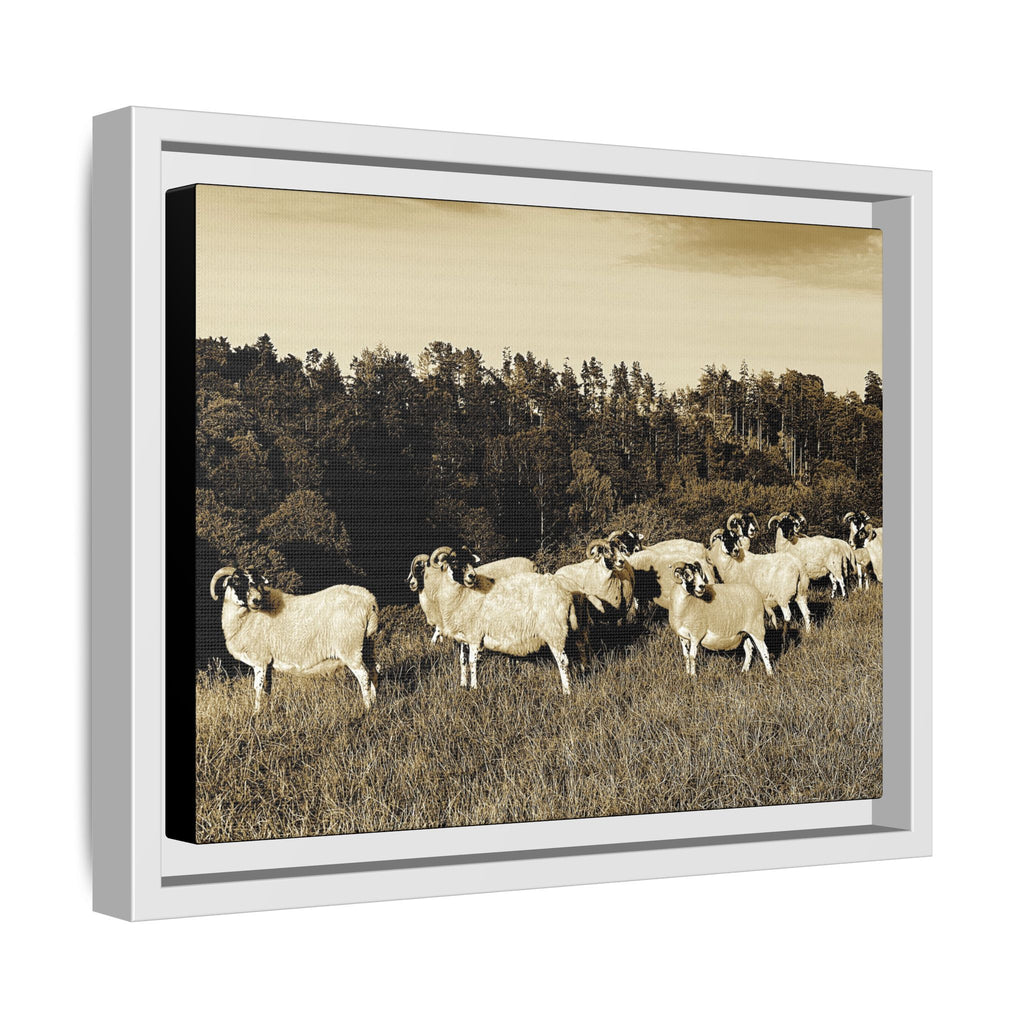 Framed Matte Canvas Print — Vintage Sheep Pasture Wall Art