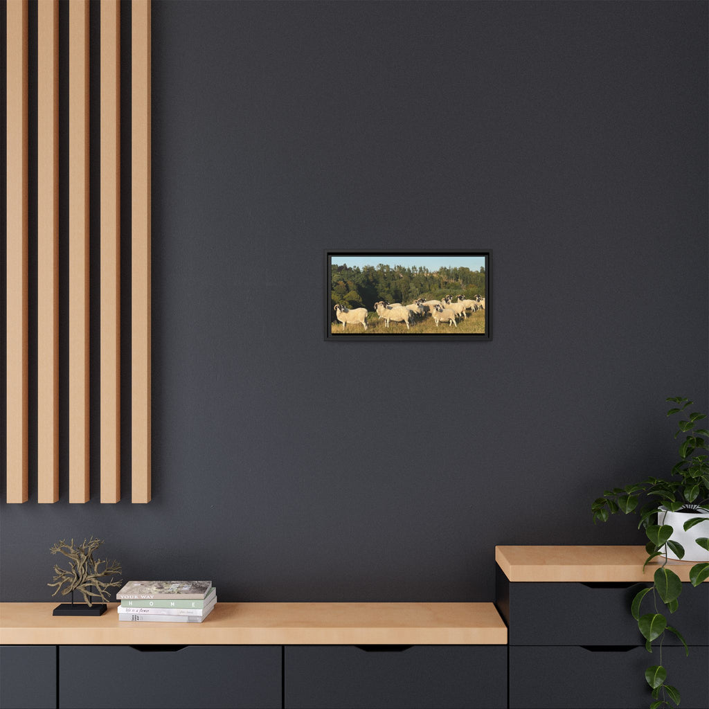 Framed Matte Canvas Print — Pastoral Sheep Landscape Wall Art
