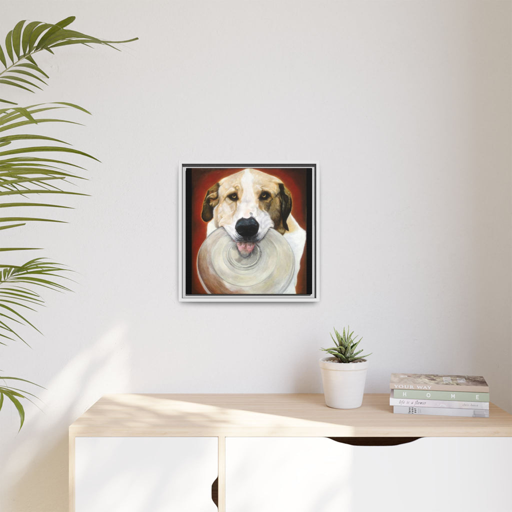 Framed Matte Canvas Print — Playful Wookie Holding His Frisbee
