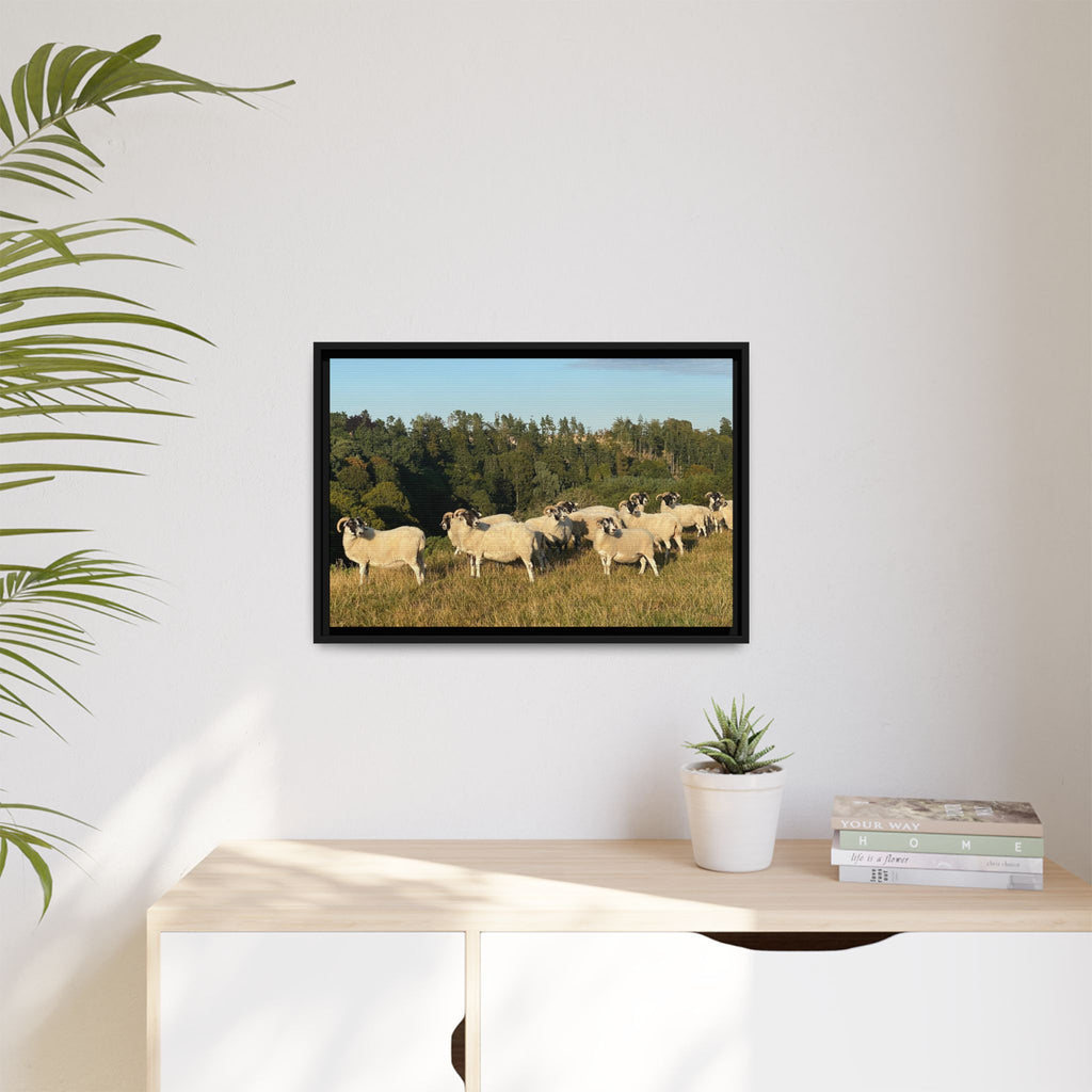 Framed Matte Canvas Print — Pastoral Sheep Landscape Wall Art
