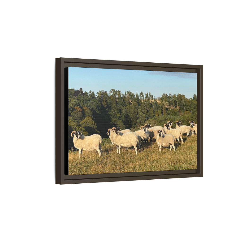 Framed Matte Canvas Print — Pastoral Sheep Landscape Wall Art