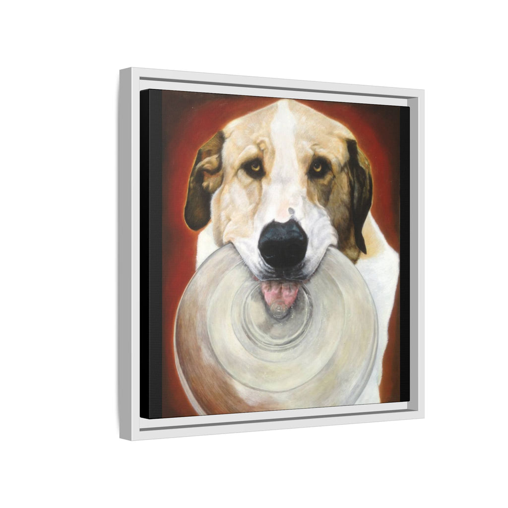 Framed Matte Canvas Print — Playful Wookie Holding His Frisbee