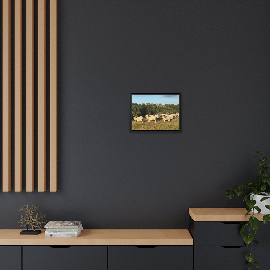 Framed Matte Canvas Print — Pastoral Sheep Landscape Wall Art