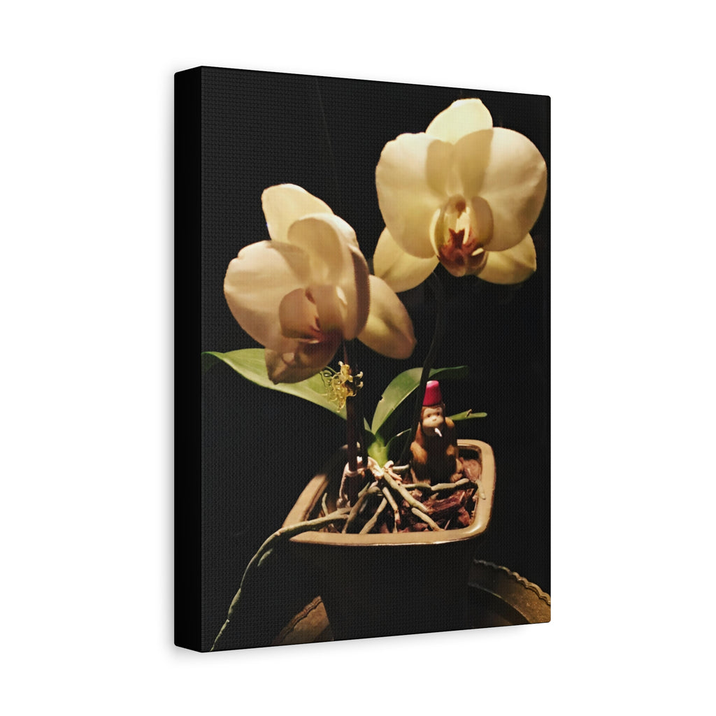 Orchid Still Life Canvas – Orchid Wall Art with Fez Monkey on Matte Stretched Canvas