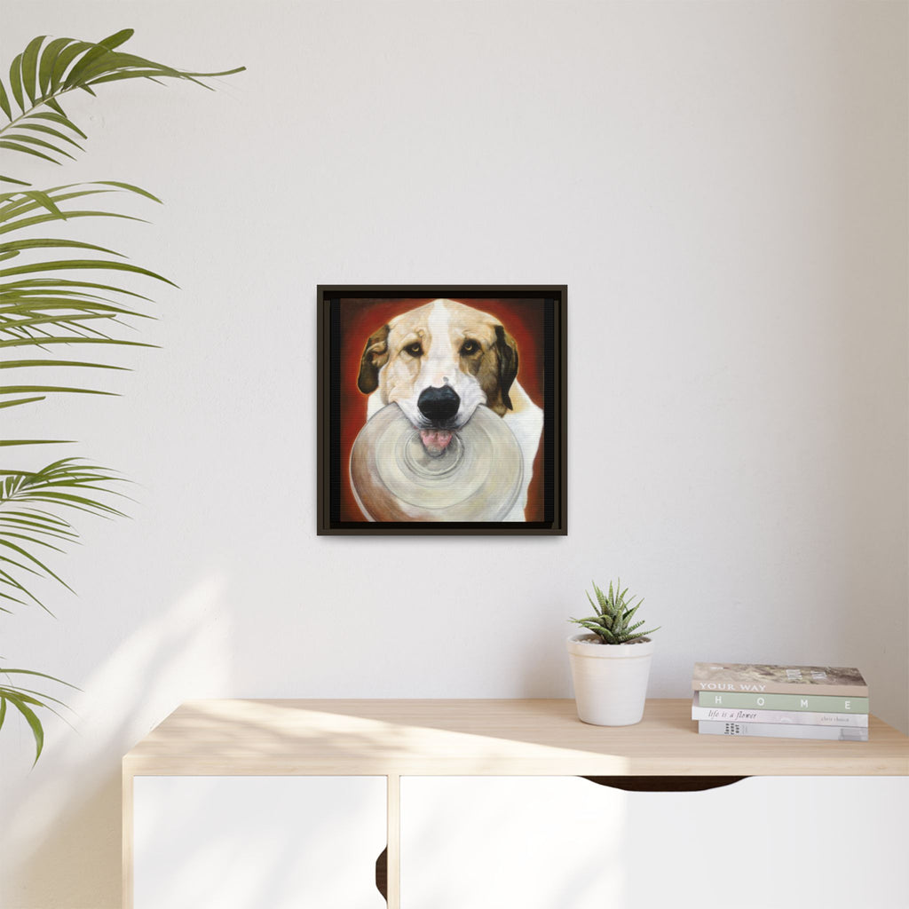 Framed Matte Canvas Print — Playful Wookie Holding His Frisbee