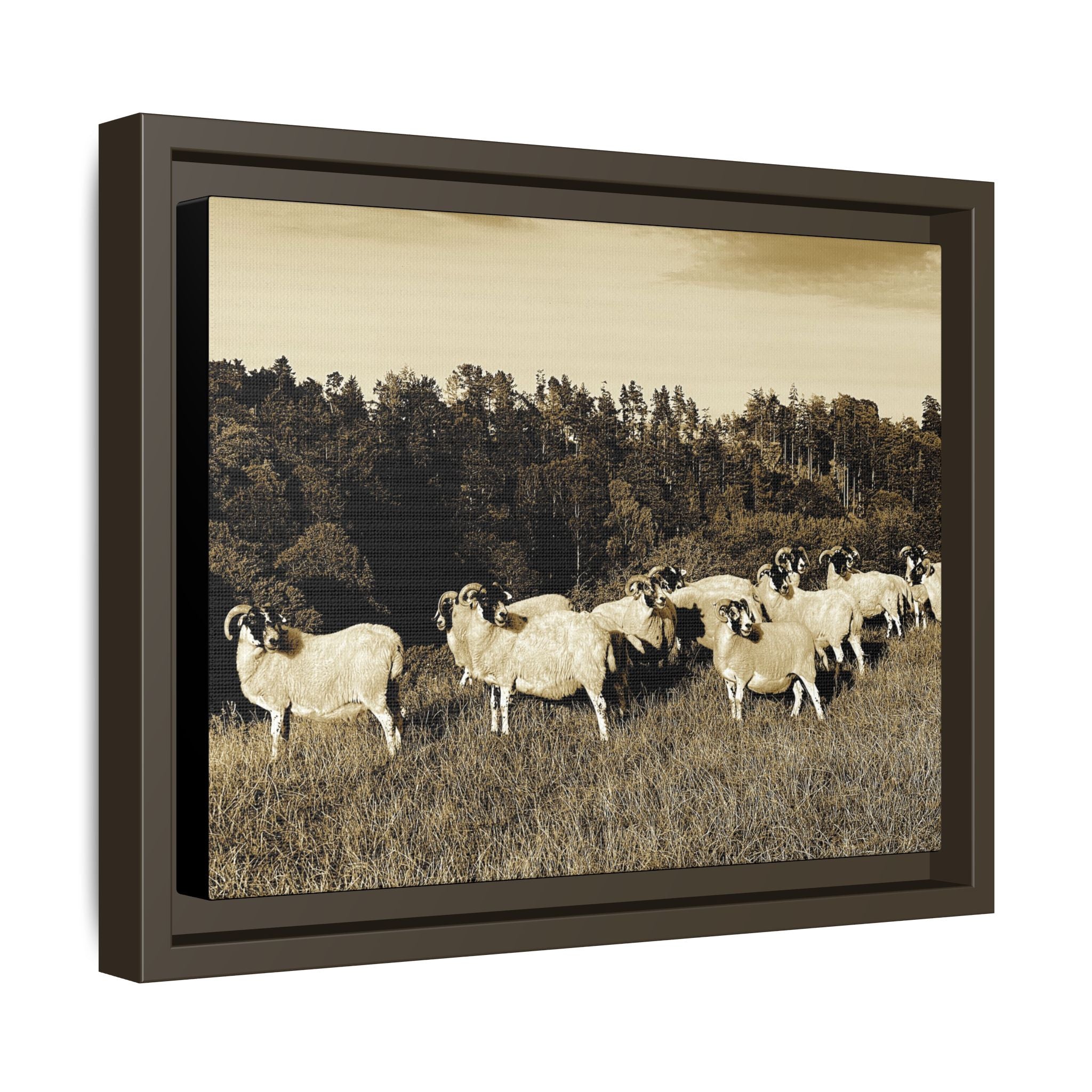 Framed Matte Canvas Print — Vintage Sheep Pasture Wall Art