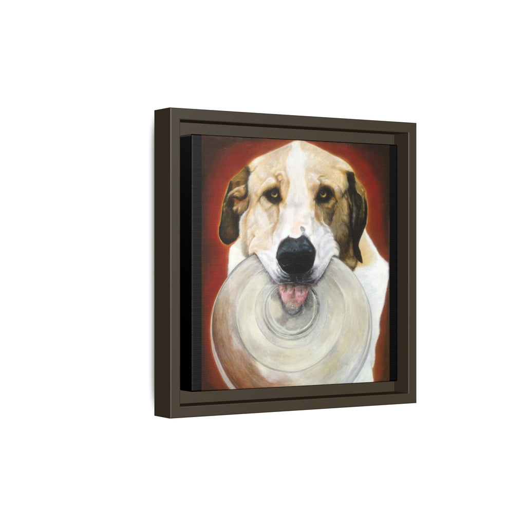 Framed Matte Canvas Print — Playful Wookie Holding His Frisbee