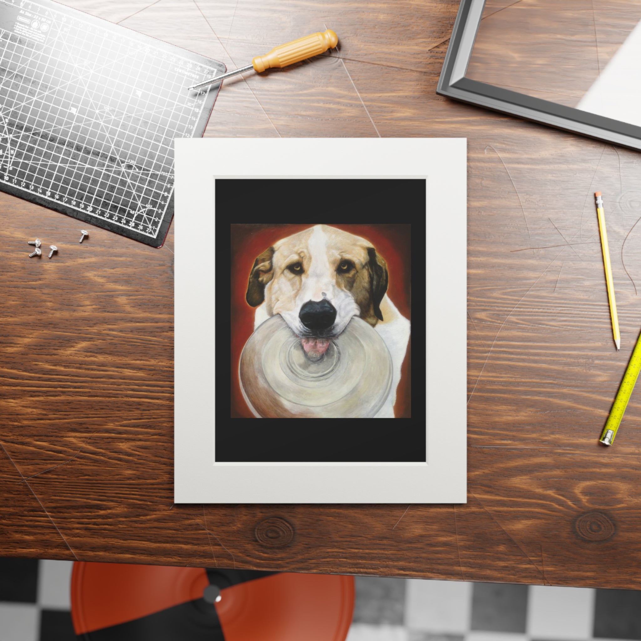 Dog with Disc Fine Art Print (Passepartout Paper Frame) - Portrait of Wookie with his transparent Frisbee (2013)