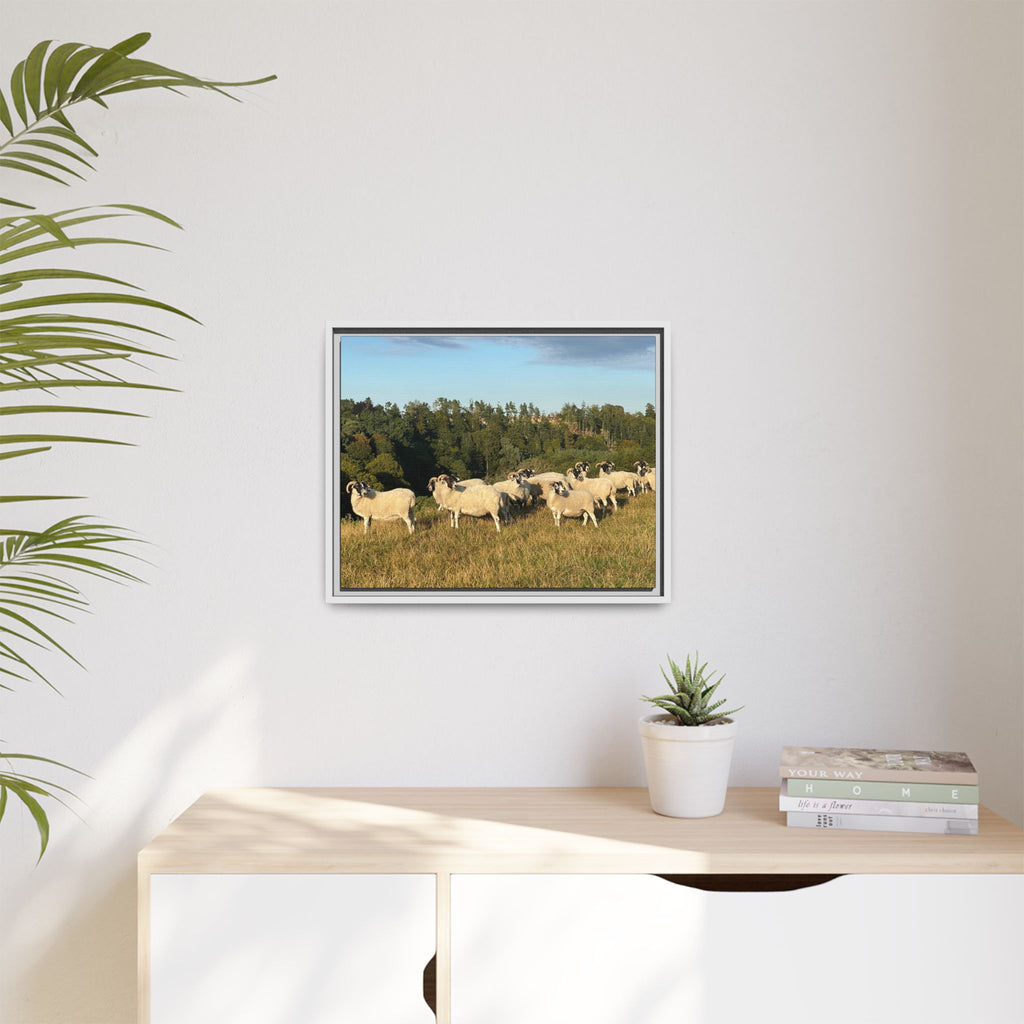 Framed Matte Canvas Print — Pastoral Sheep Landscape Wall Art