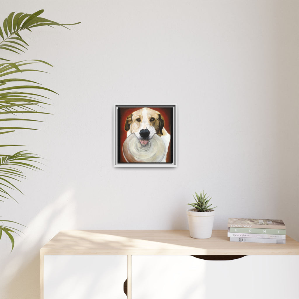 Framed Matte Canvas Print — Playful Wookie Holding His Frisbee