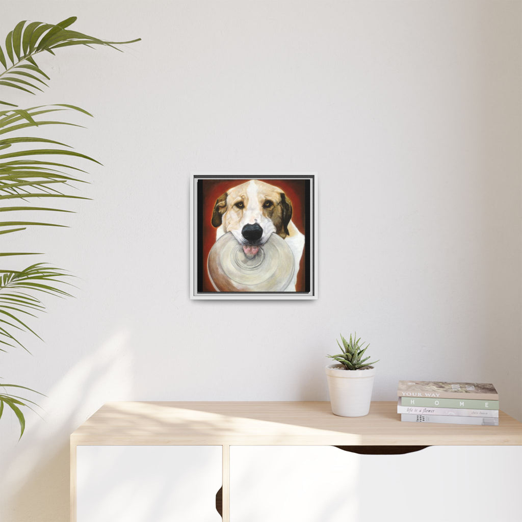 Framed Matte Canvas Print — Playful Wookie Holding His Frisbee