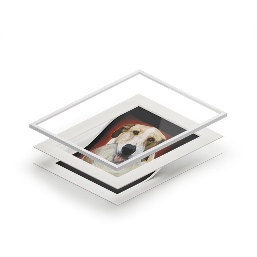 Dog with Disc Fine Art Print (Passepartout Paper Frame) - Portrait of Wookie with his transparent Frisbee (2013)