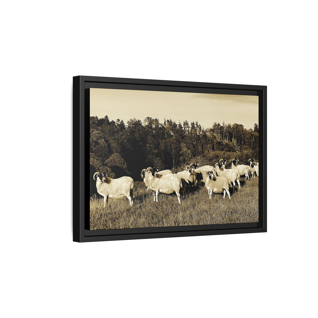 Framed Matte Canvas Print — Vintage Sheep Pasture Wall Art