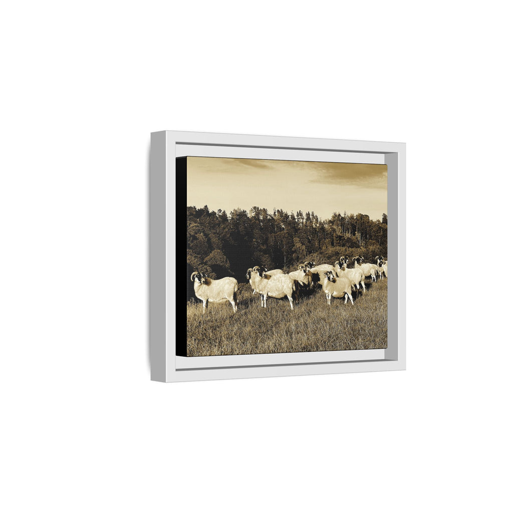 Framed Matte Canvas Print — Vintage Sheep Pasture Wall Art