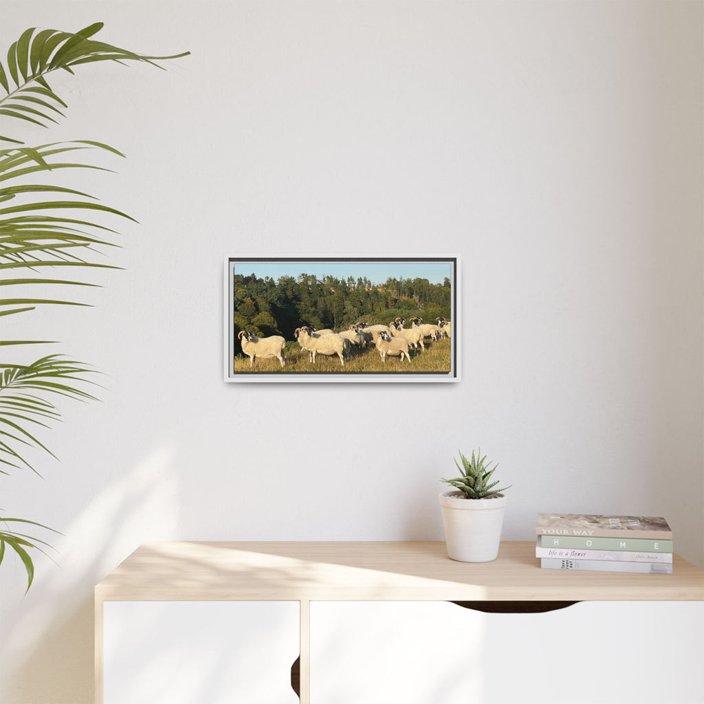 Framed Matte Canvas Print — Pastoral Sheep Landscape Wall Art