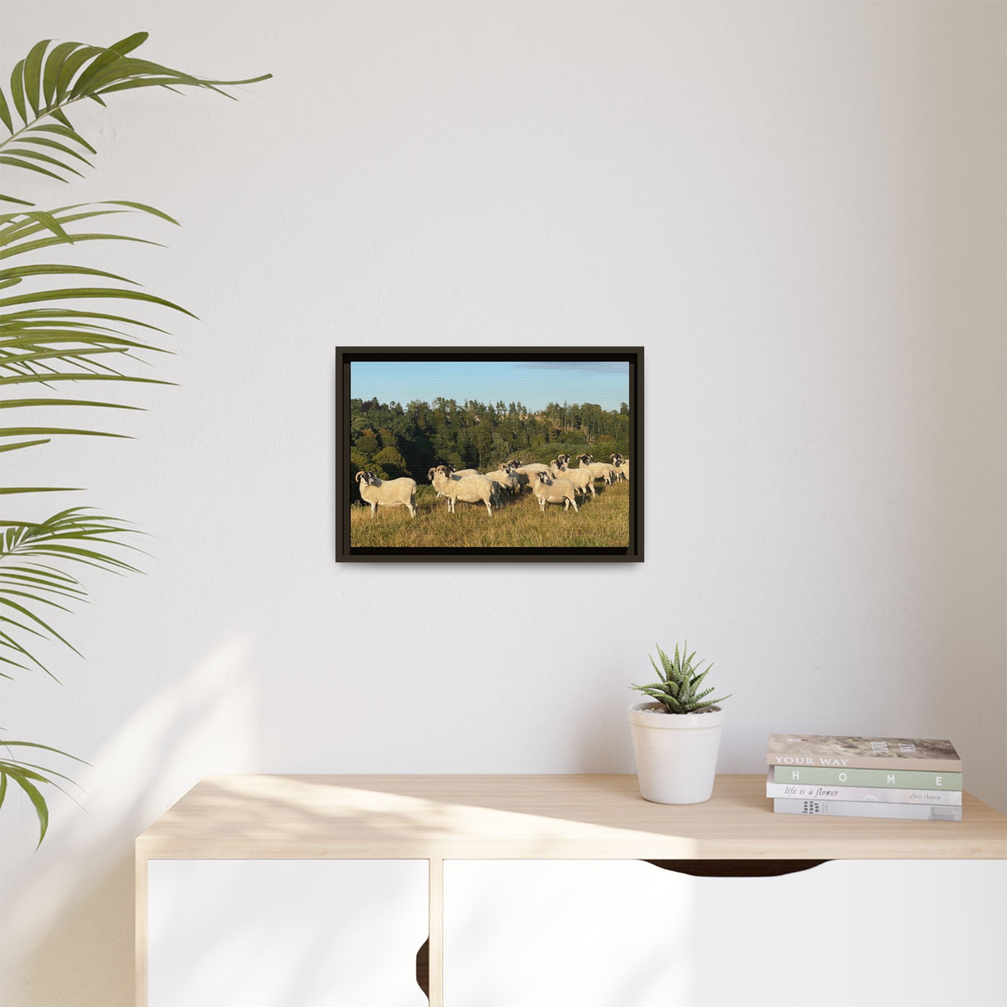 Framed Matte Canvas Print — Pastoral Sheep Landscape Wall Art
