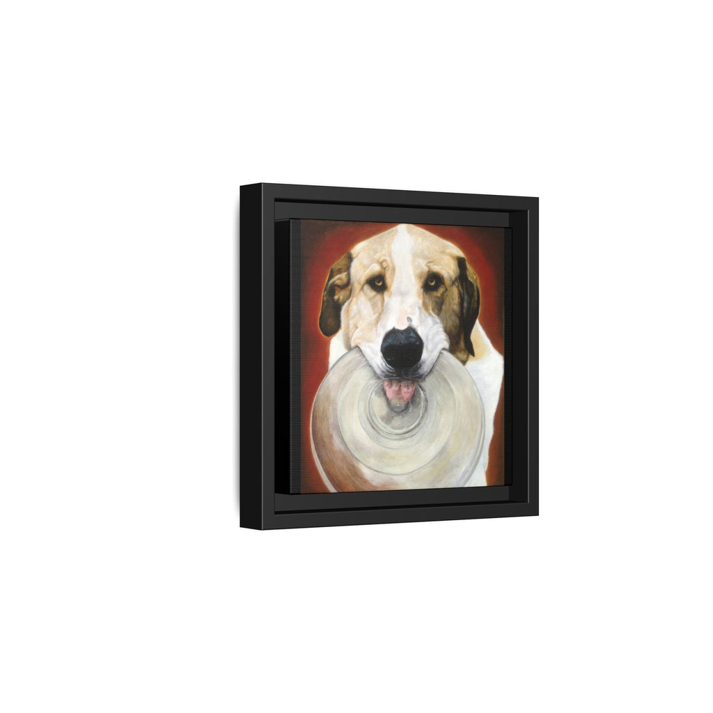 Framed Matte Canvas Print — Playful Wookie Holding His Frisbee