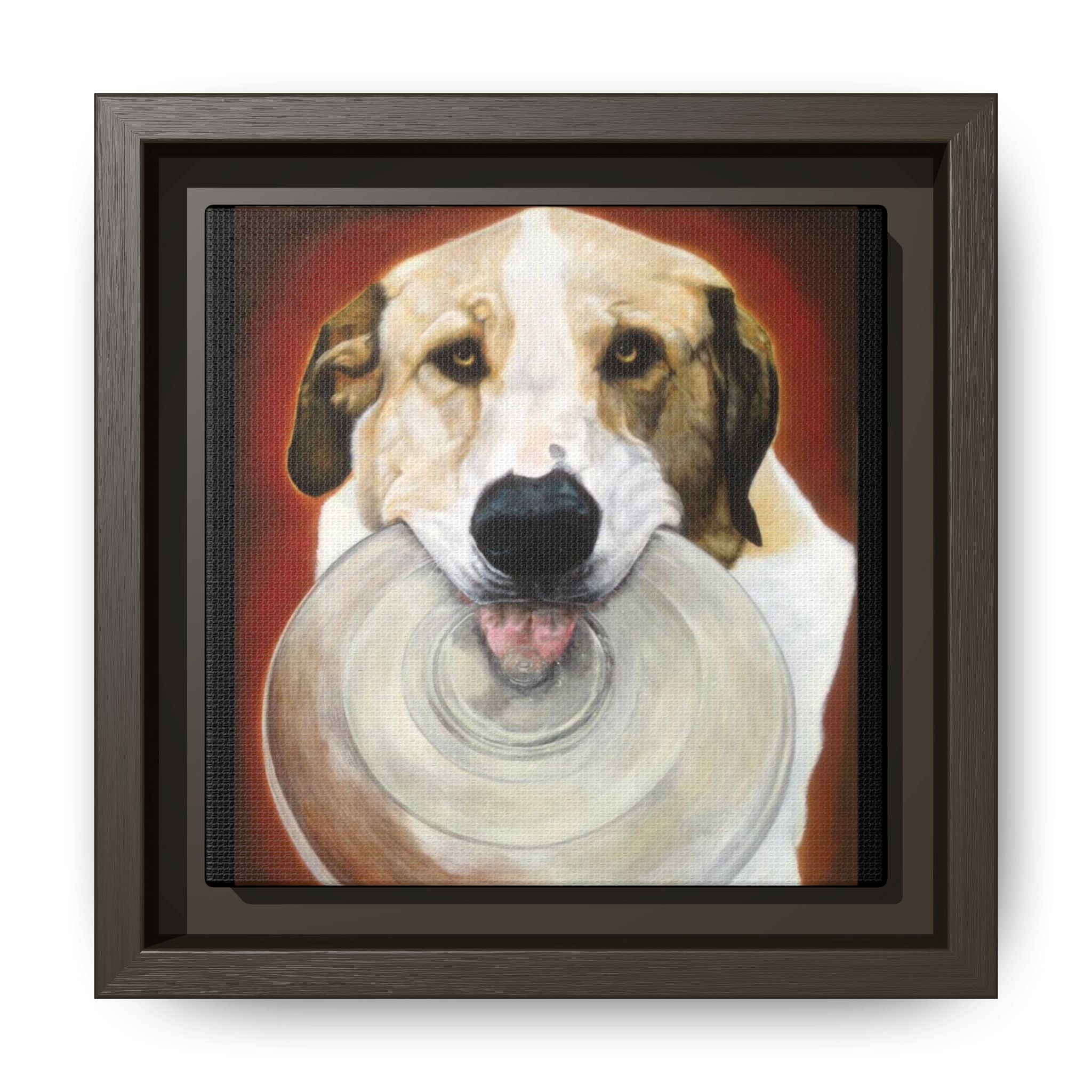 Framed Matte Canvas Print — Playful Wookie Holding His Frisbee