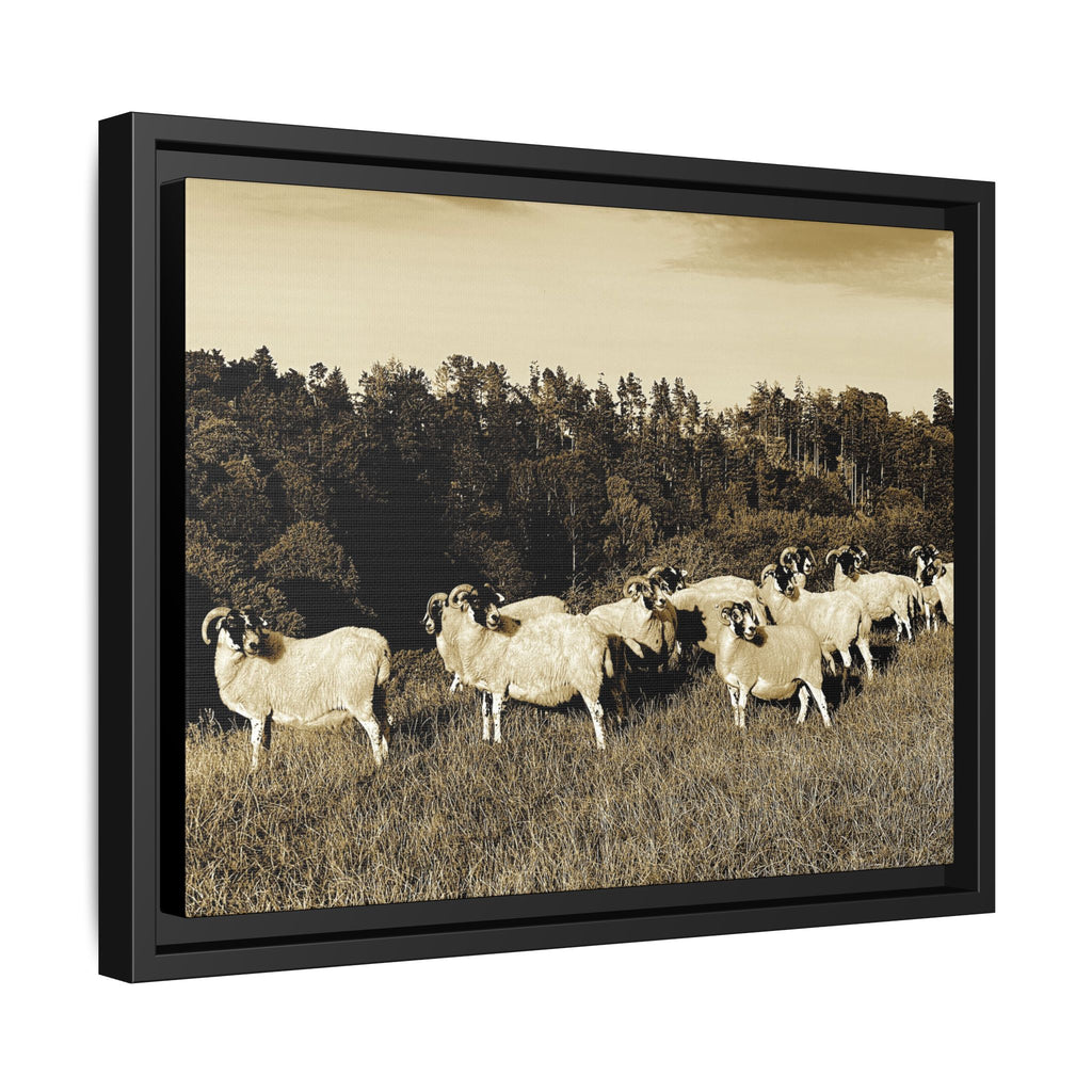 Framed Matte Canvas Print — Vintage Sheep Pasture Wall Art
