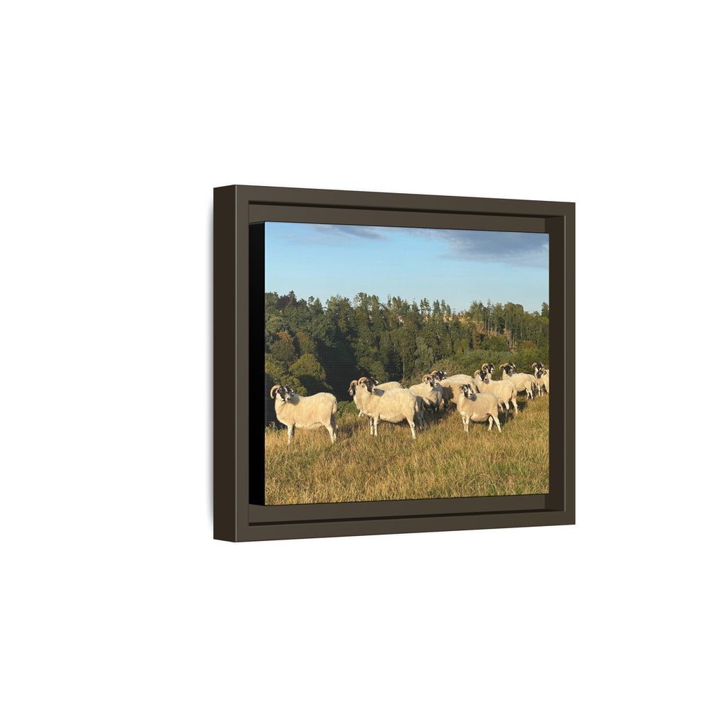 Framed Matte Canvas Print — Pastoral Sheep Landscape Wall Art