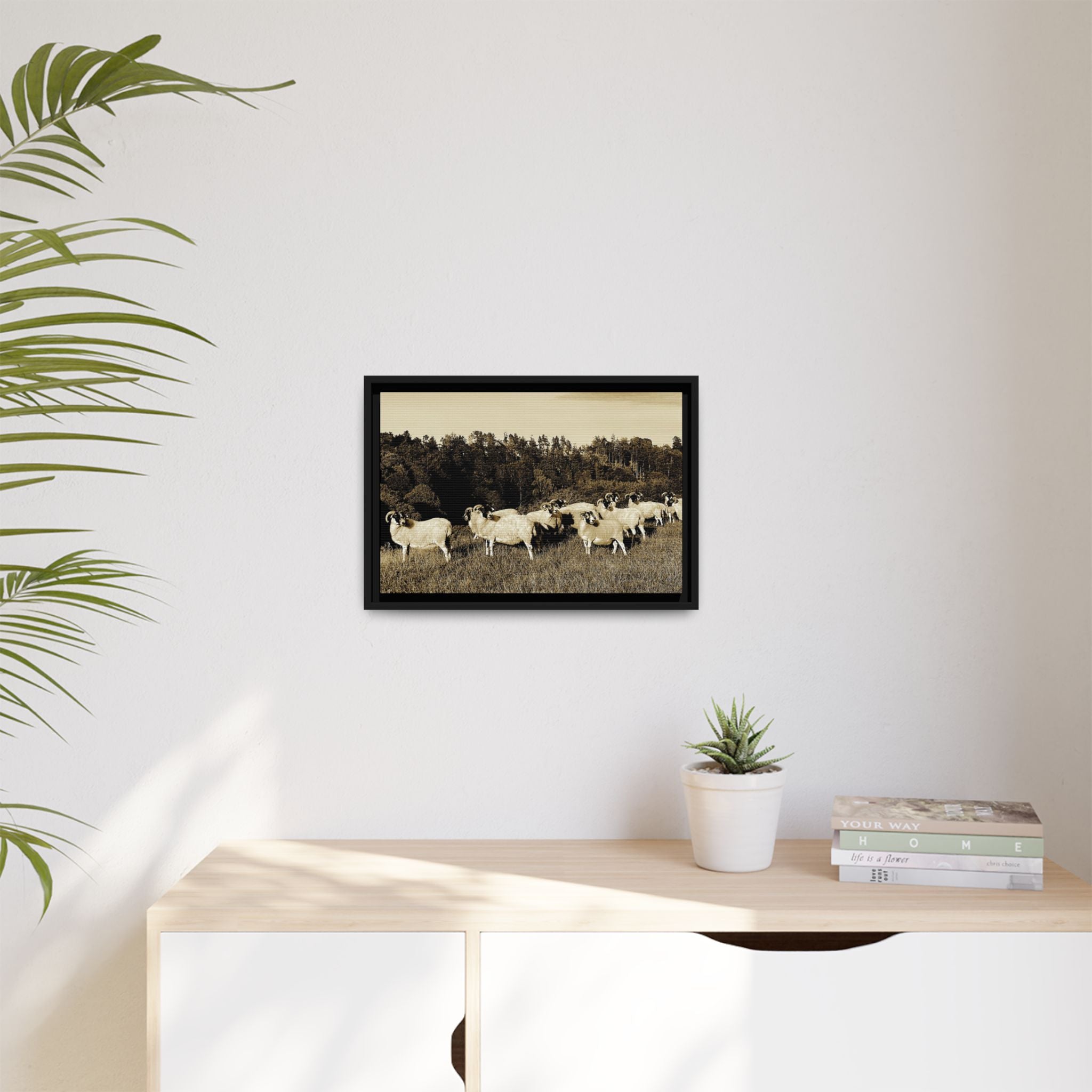 Framed Matte Canvas Print — Vintage Sheep Pasture Wall Art