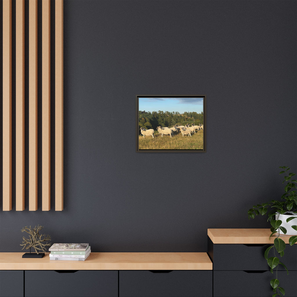 Framed Matte Canvas Print — Pastoral Sheep Landscape Wall Art