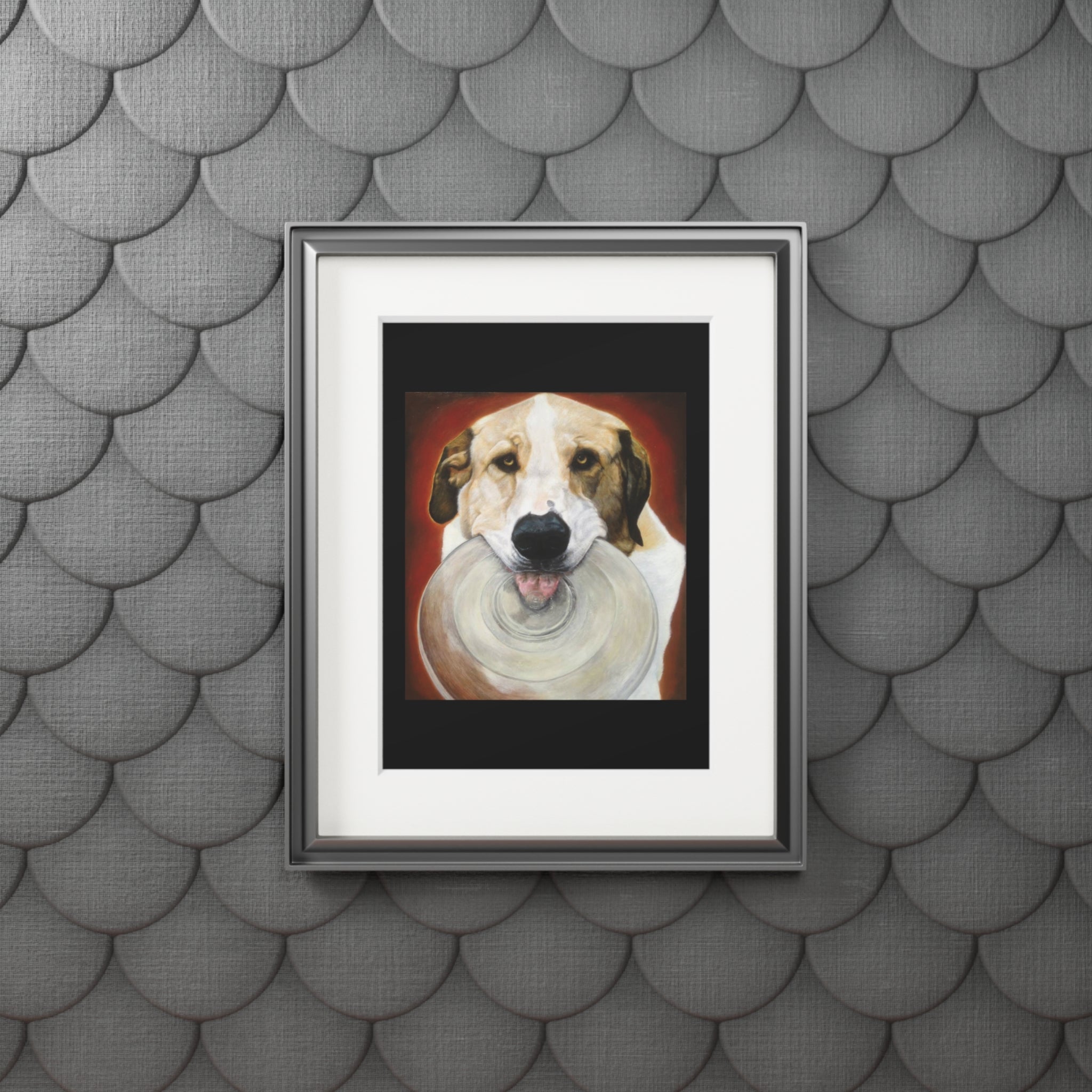 Dog with Disc Fine Art Print (Passepartout Paper Frame) - Portrait of Wookie with his transparent Frisbee (2013)