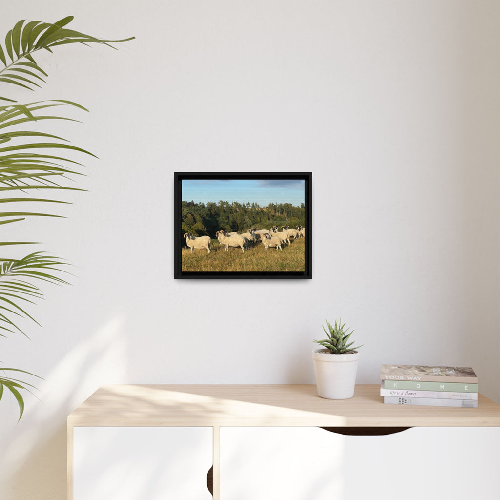 Framed Matte Canvas Print — Pastoral Sheep Landscape Wall Art