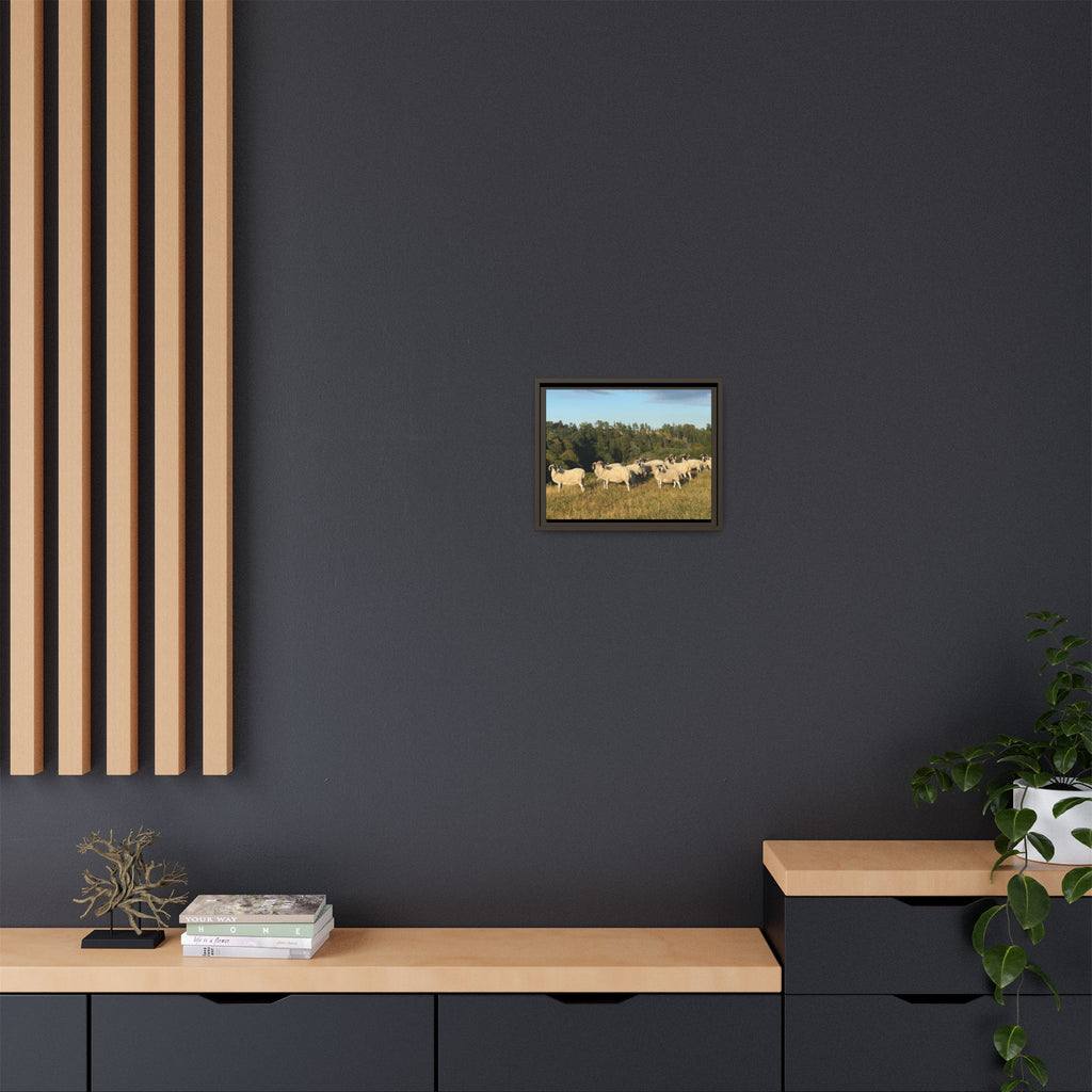 Framed Matte Canvas Print — Pastoral Sheep Landscape Wall Art