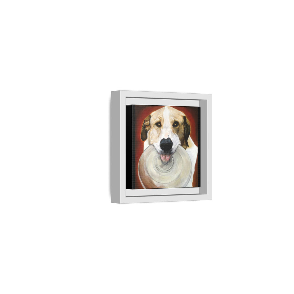 Framed Matte Canvas Print — Playful Wookie Holding His Frisbee