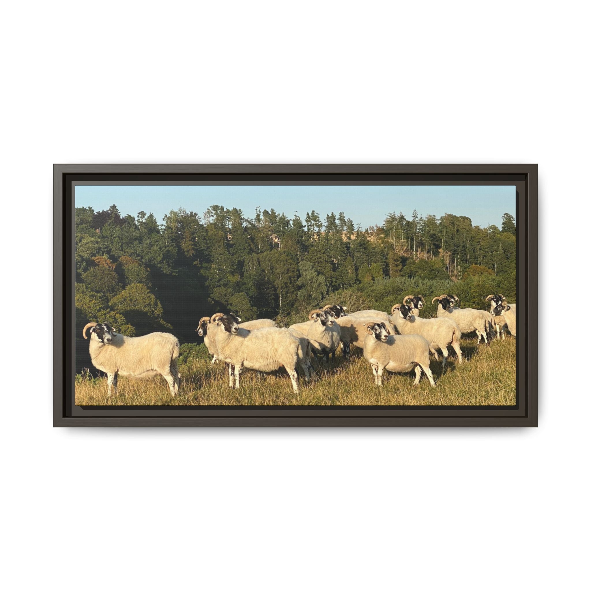 Framed Matte Canvas Print — Pastoral Sheep Landscape Wall Art