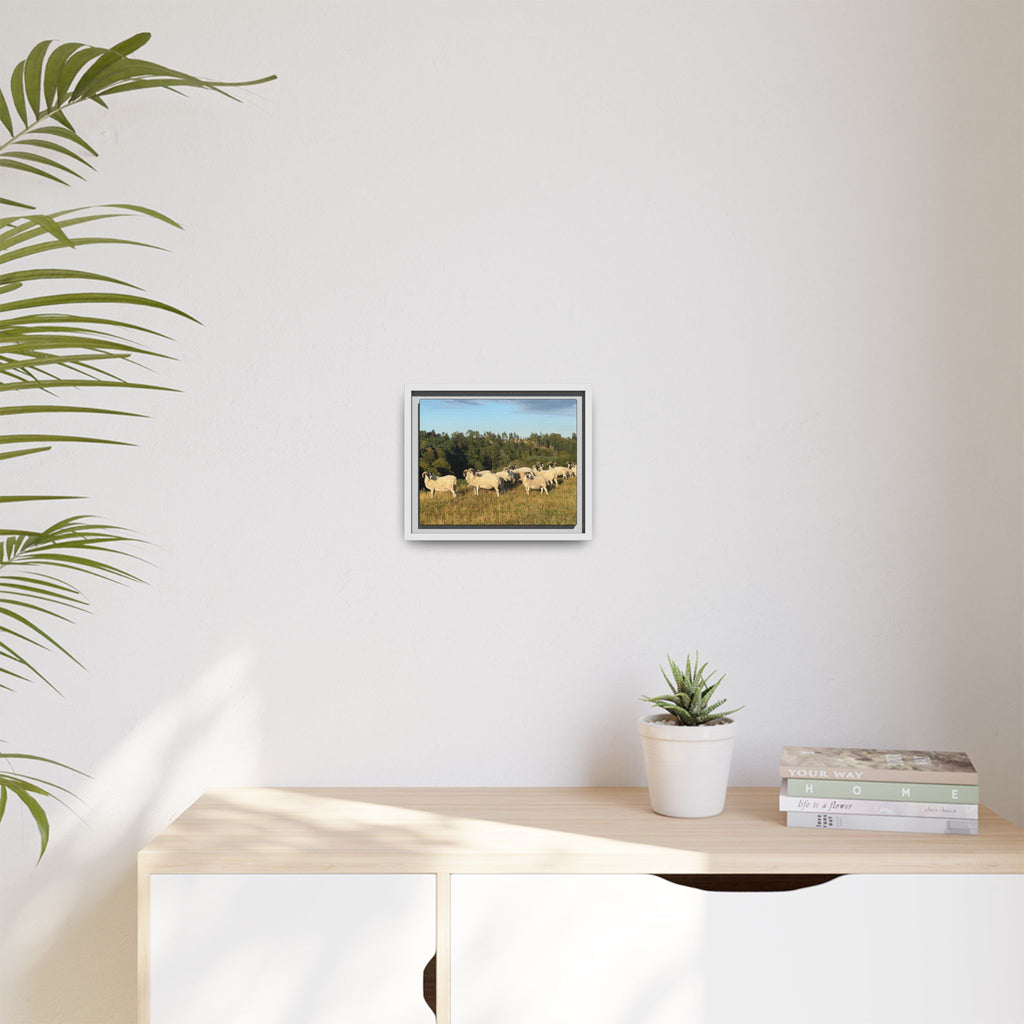 Framed Matte Canvas Print — Pastoral Sheep Landscape Wall Art