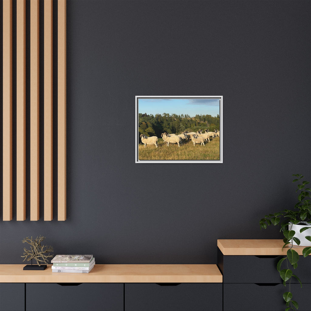 Framed Matte Canvas Print — Pastoral Sheep Landscape Wall Art