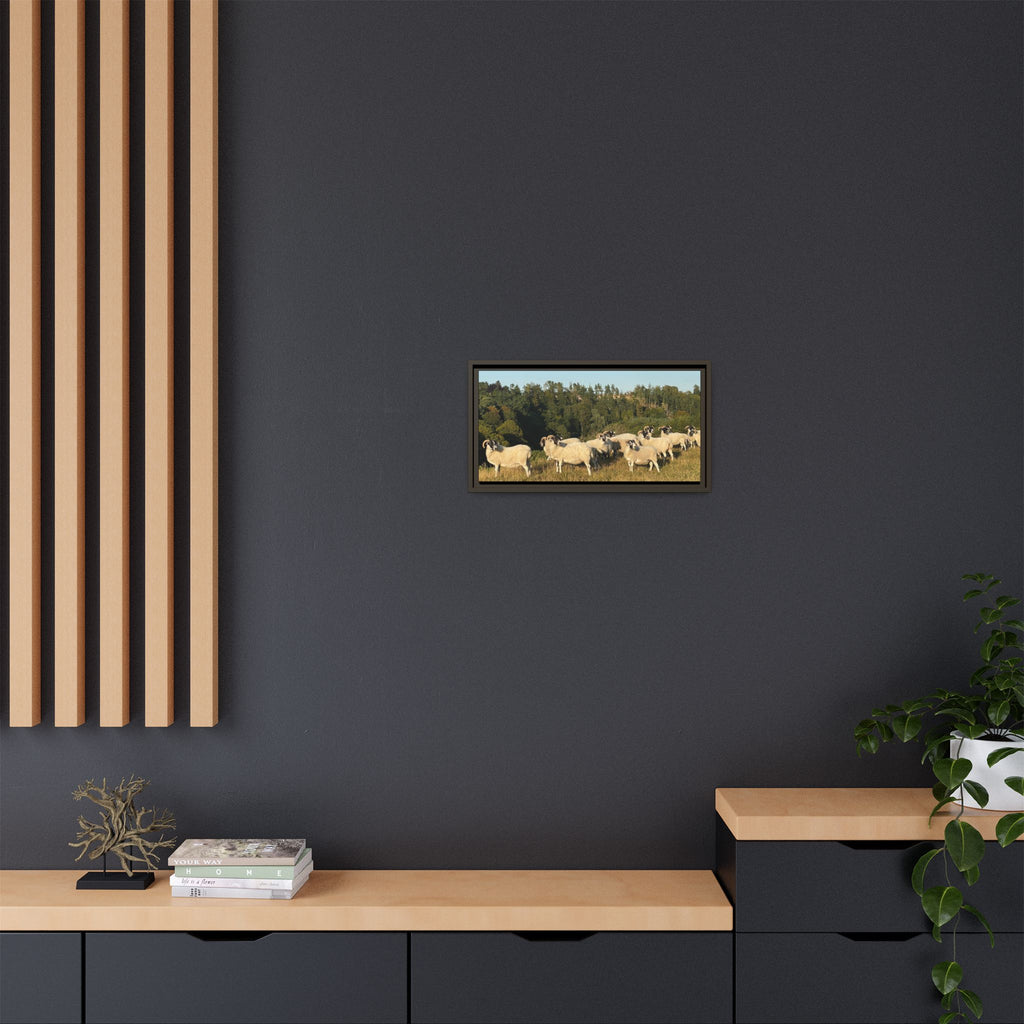 Framed Matte Canvas Print — Pastoral Sheep Landscape Wall Art