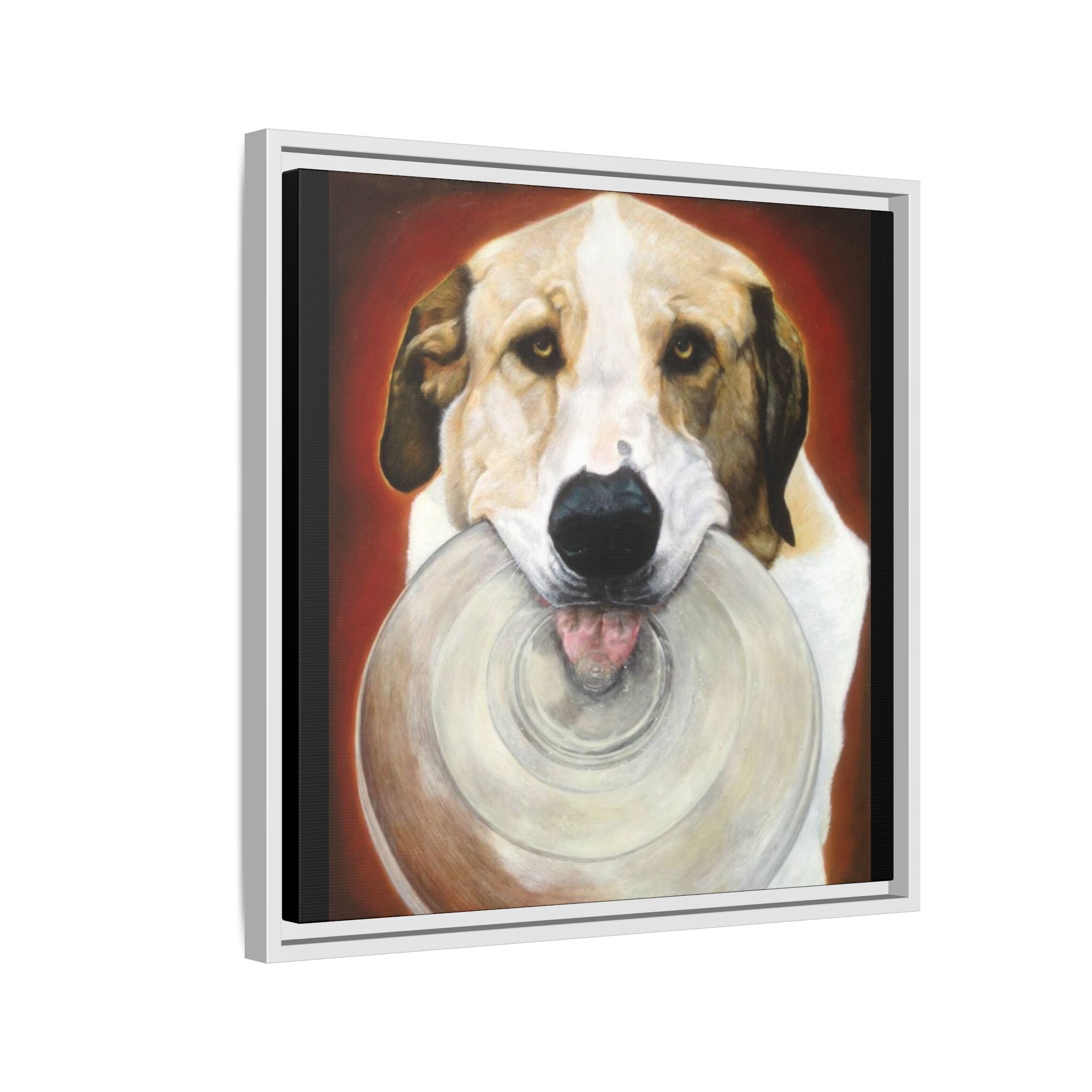 Framed Matte Canvas Print — Playful Wookie Holding His Frisbee