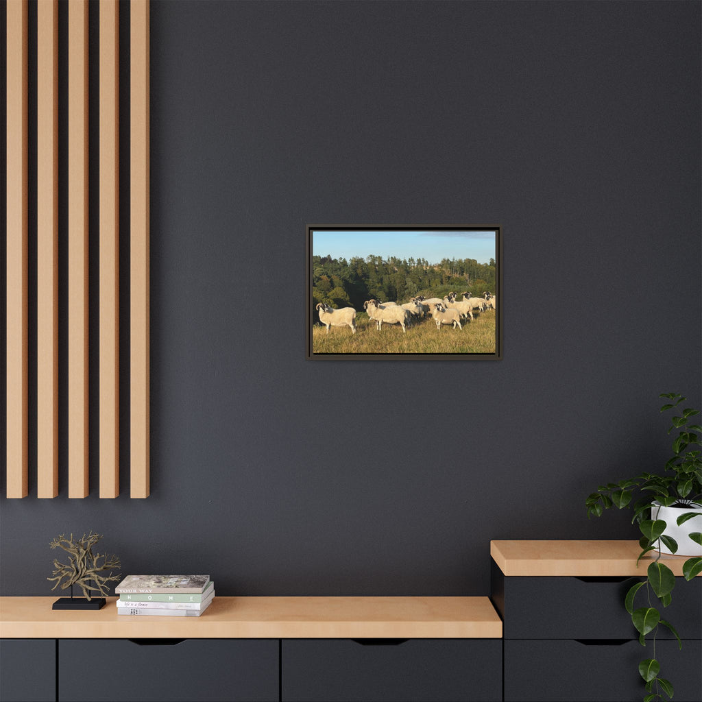 Framed Matte Canvas Print — Pastoral Sheep Landscape Wall Art
