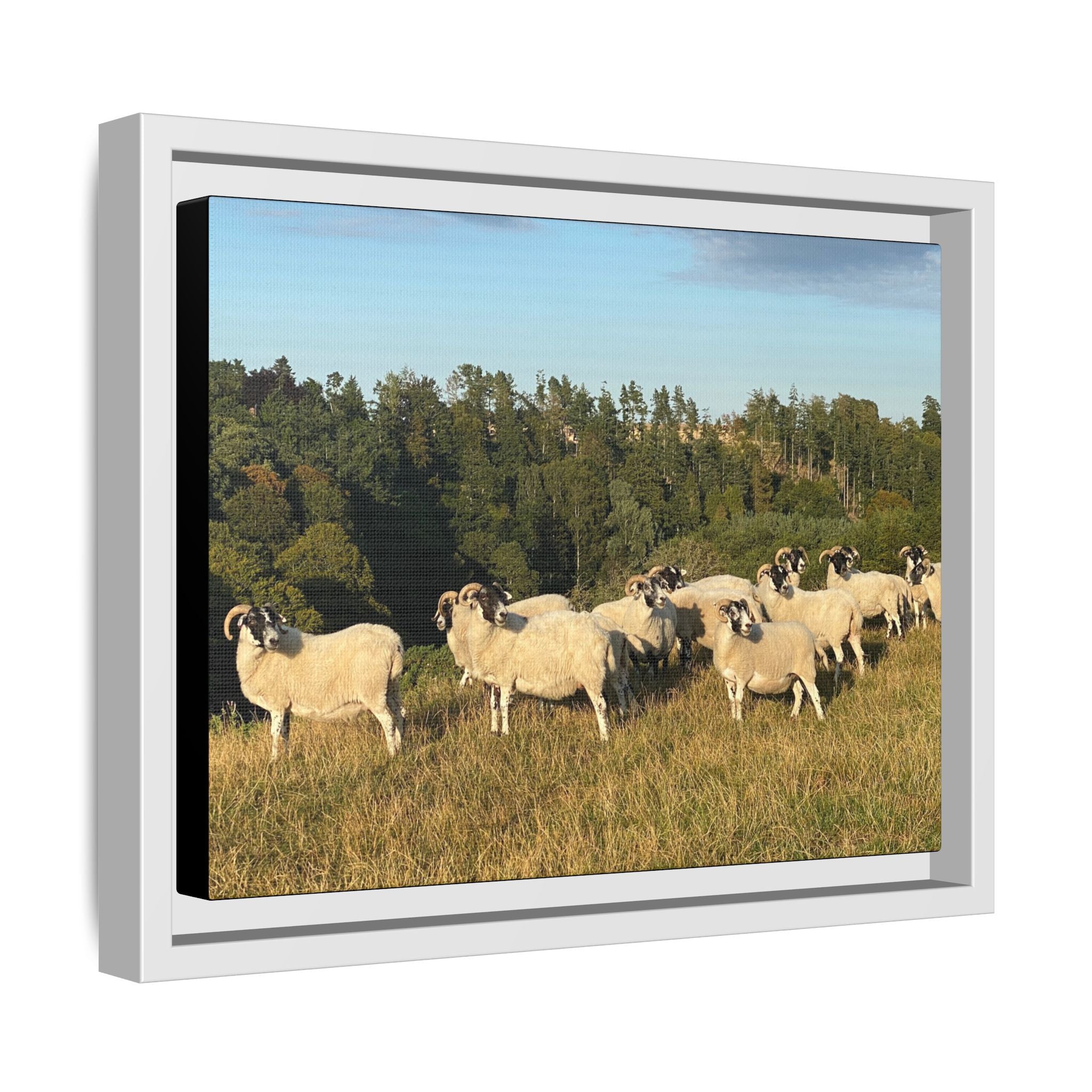 Framed Matte Canvas Print — Pastoral Sheep Landscape Wall Art
