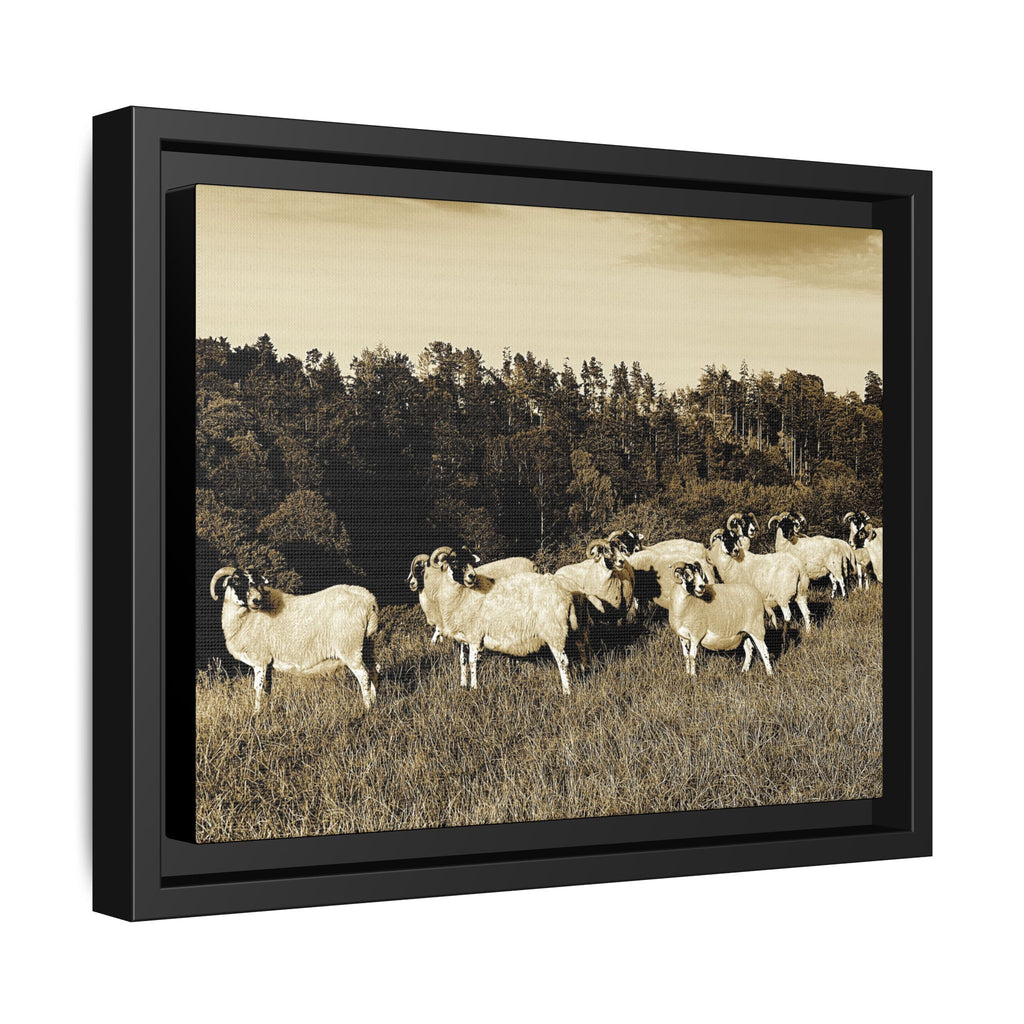 Framed Matte Canvas Print — Vintage Sheep Pasture Wall Art