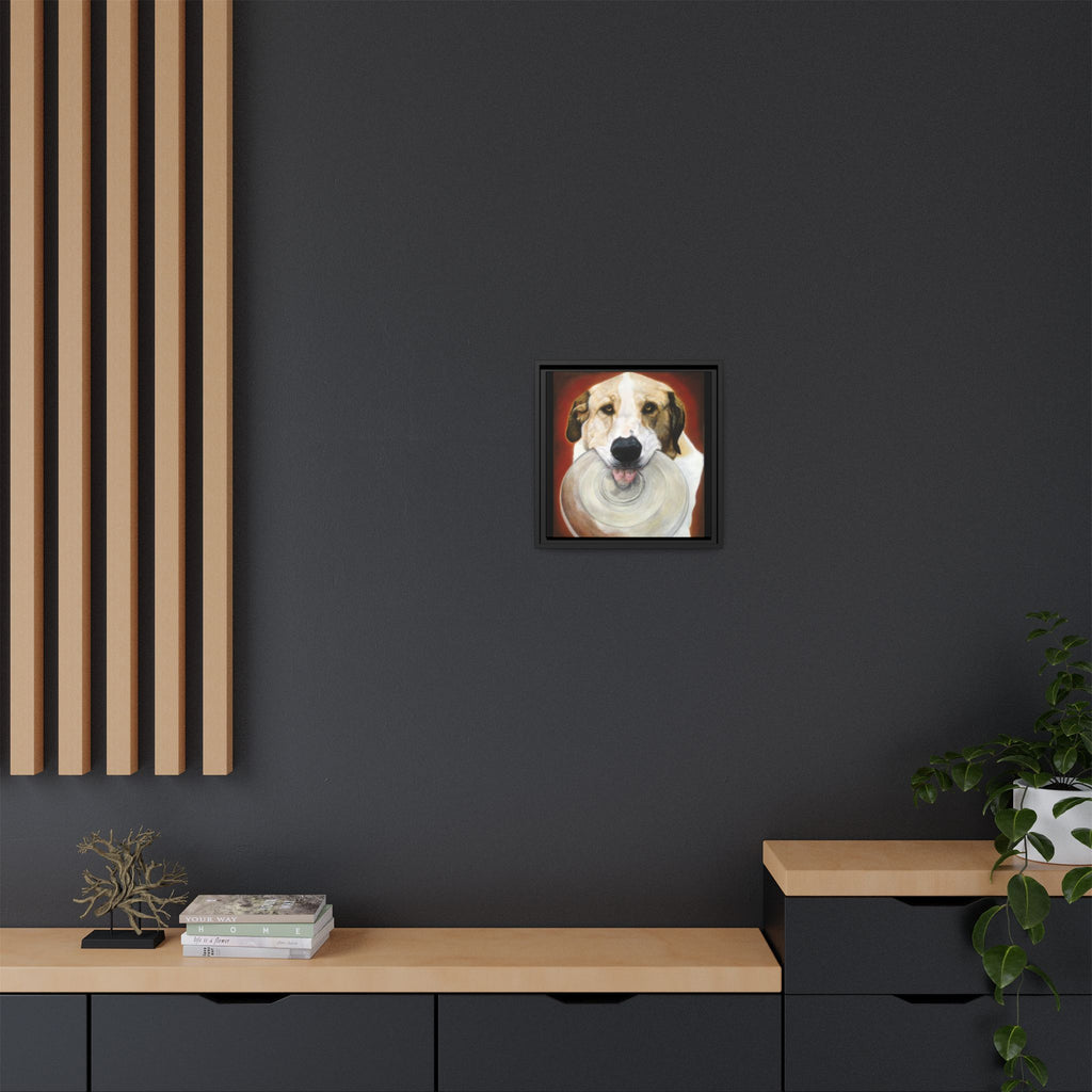 Framed Matte Canvas Print — Playful Wookie Holding His Frisbee