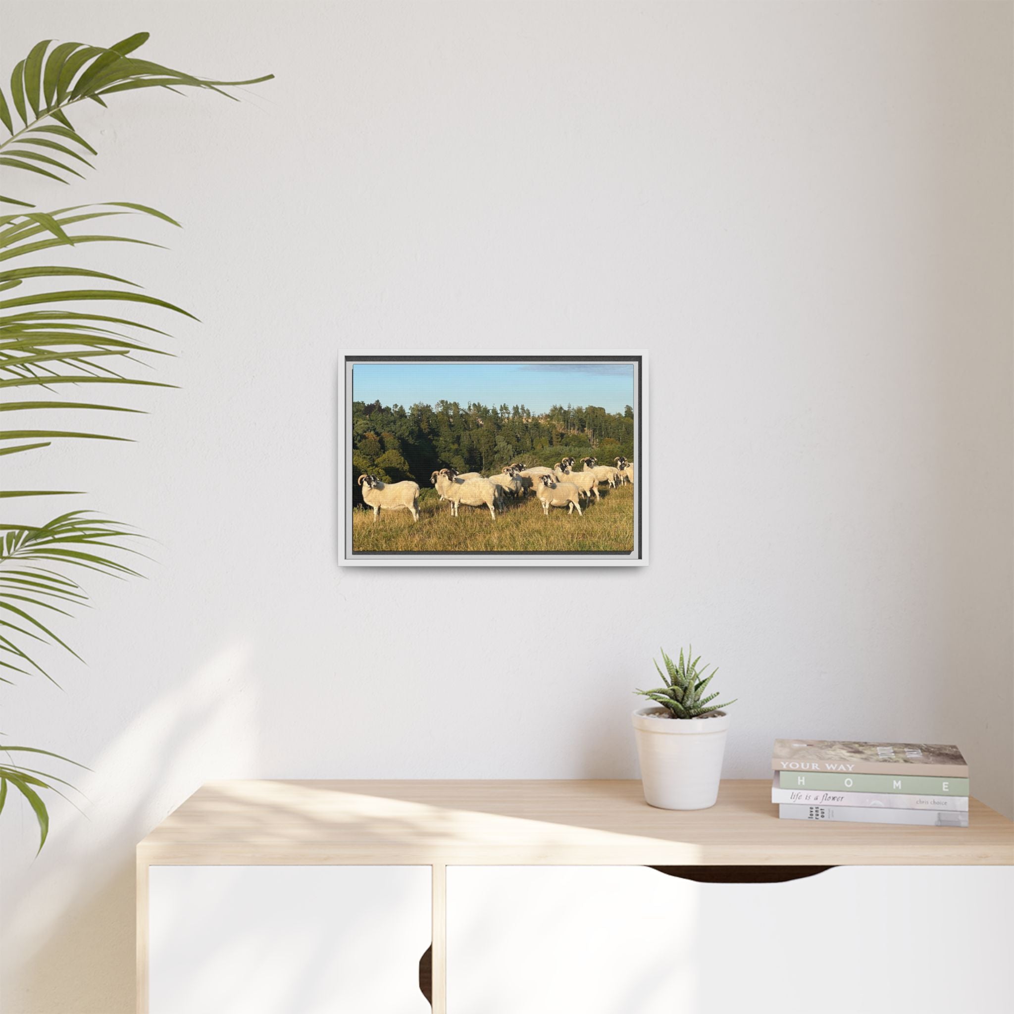 Framed Matte Canvas Print — Pastoral Sheep Landscape Wall Art