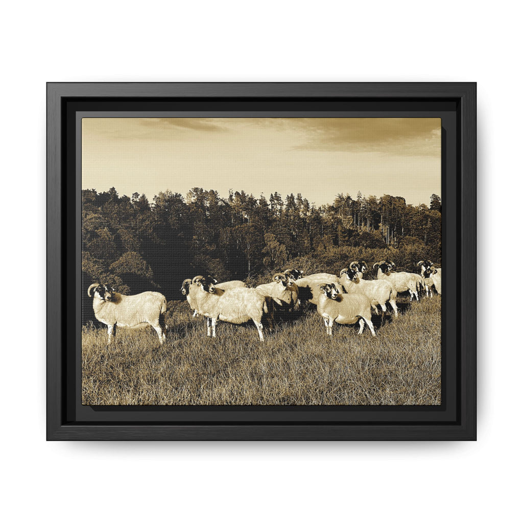 Framed Matte Canvas Print — Vintage Sheep Pasture Wall Art