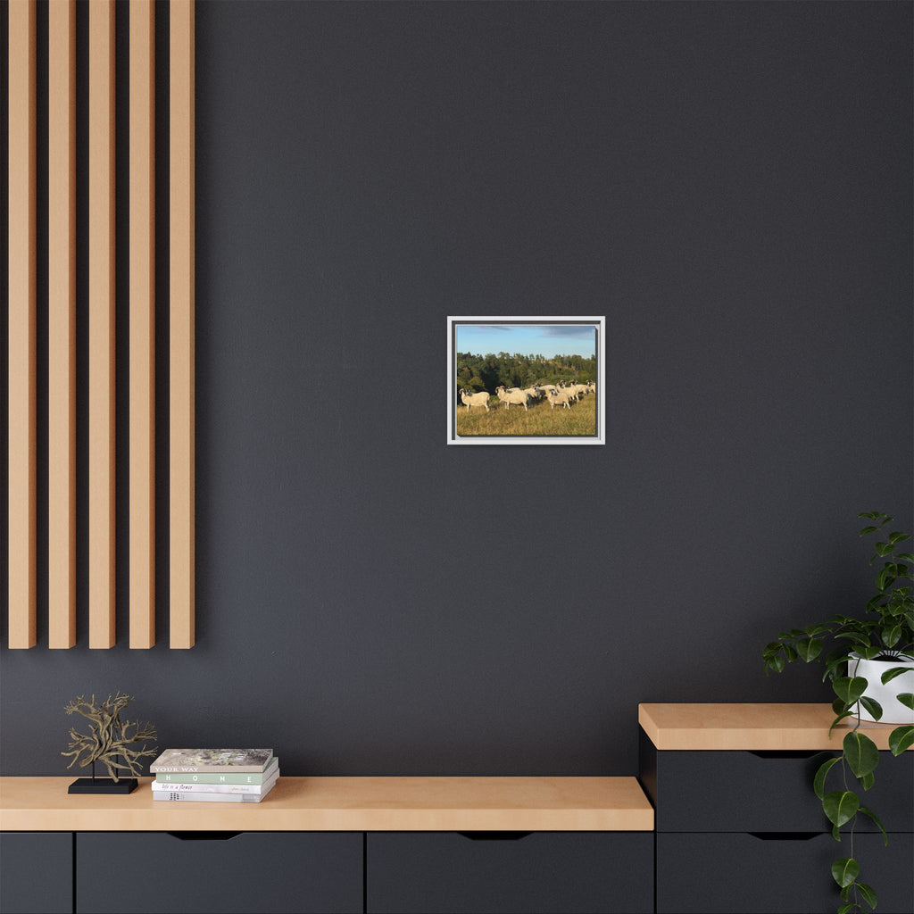 Framed Matte Canvas Print — Pastoral Sheep Landscape Wall Art