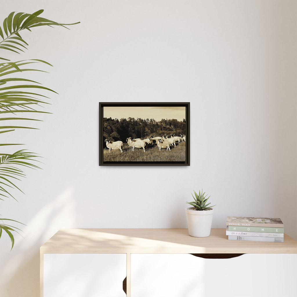 Framed Matte Canvas Print — Vintage Sheep Pasture Wall Art