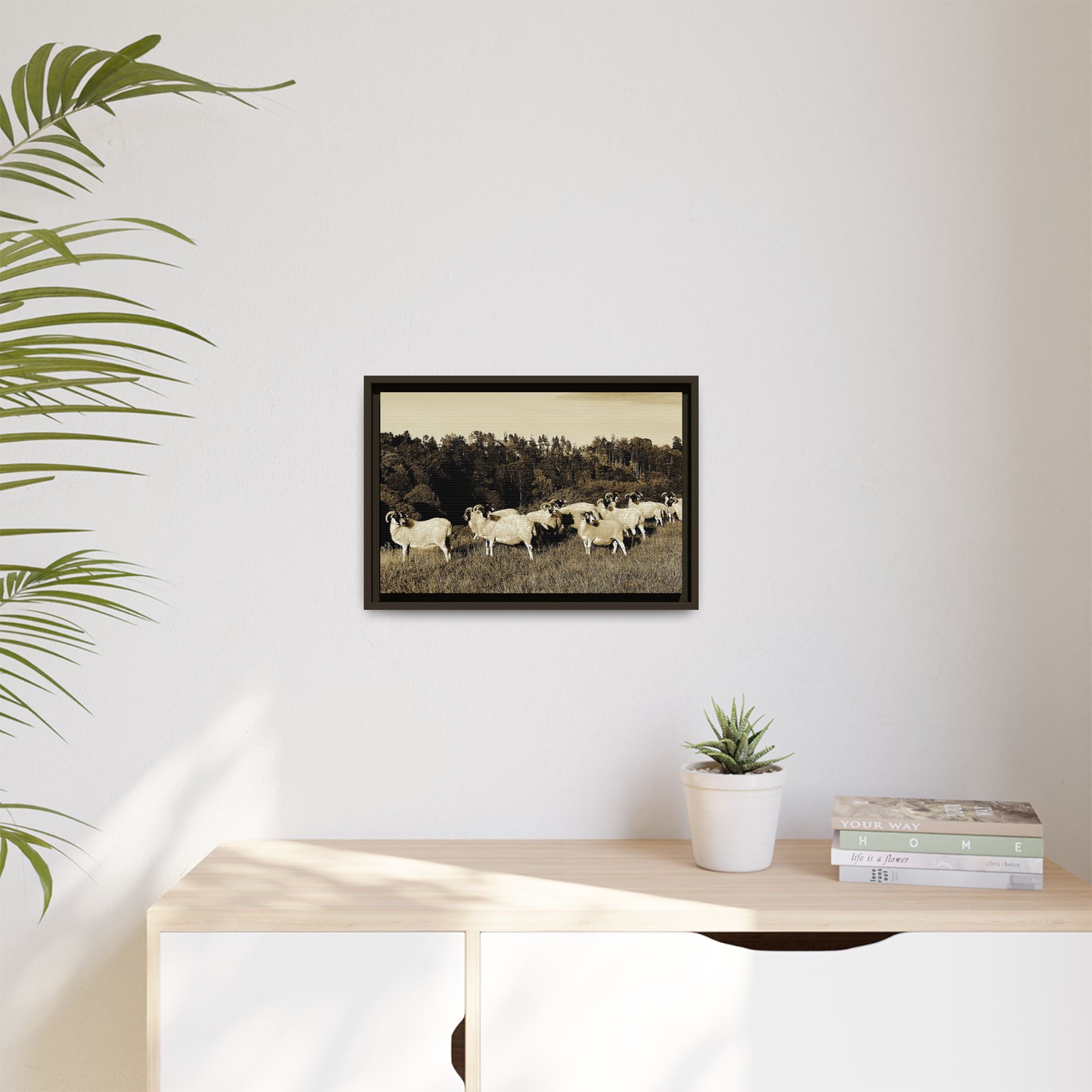 Framed Matte Canvas Print — Vintage Sheep Pasture Wall Art