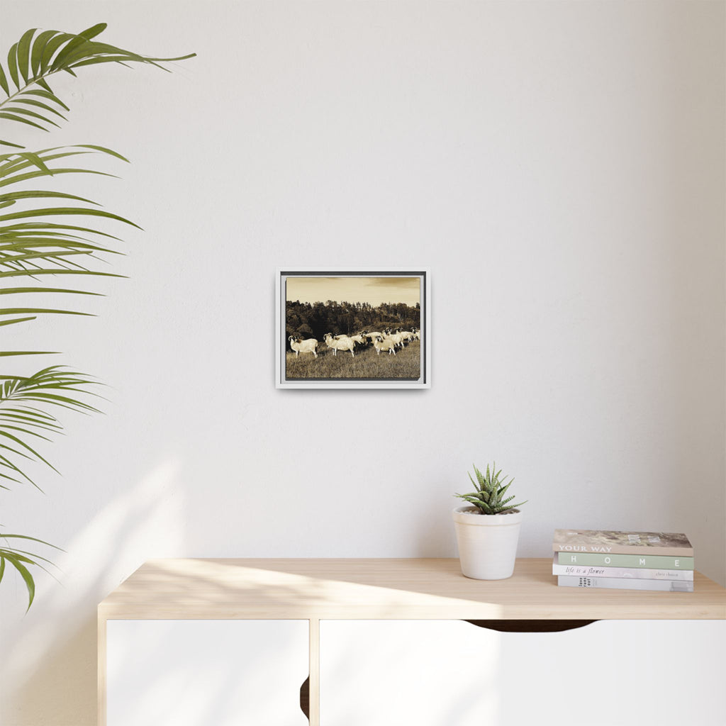 Framed Matte Canvas Print — Vintage Sheep Pasture Wall Art