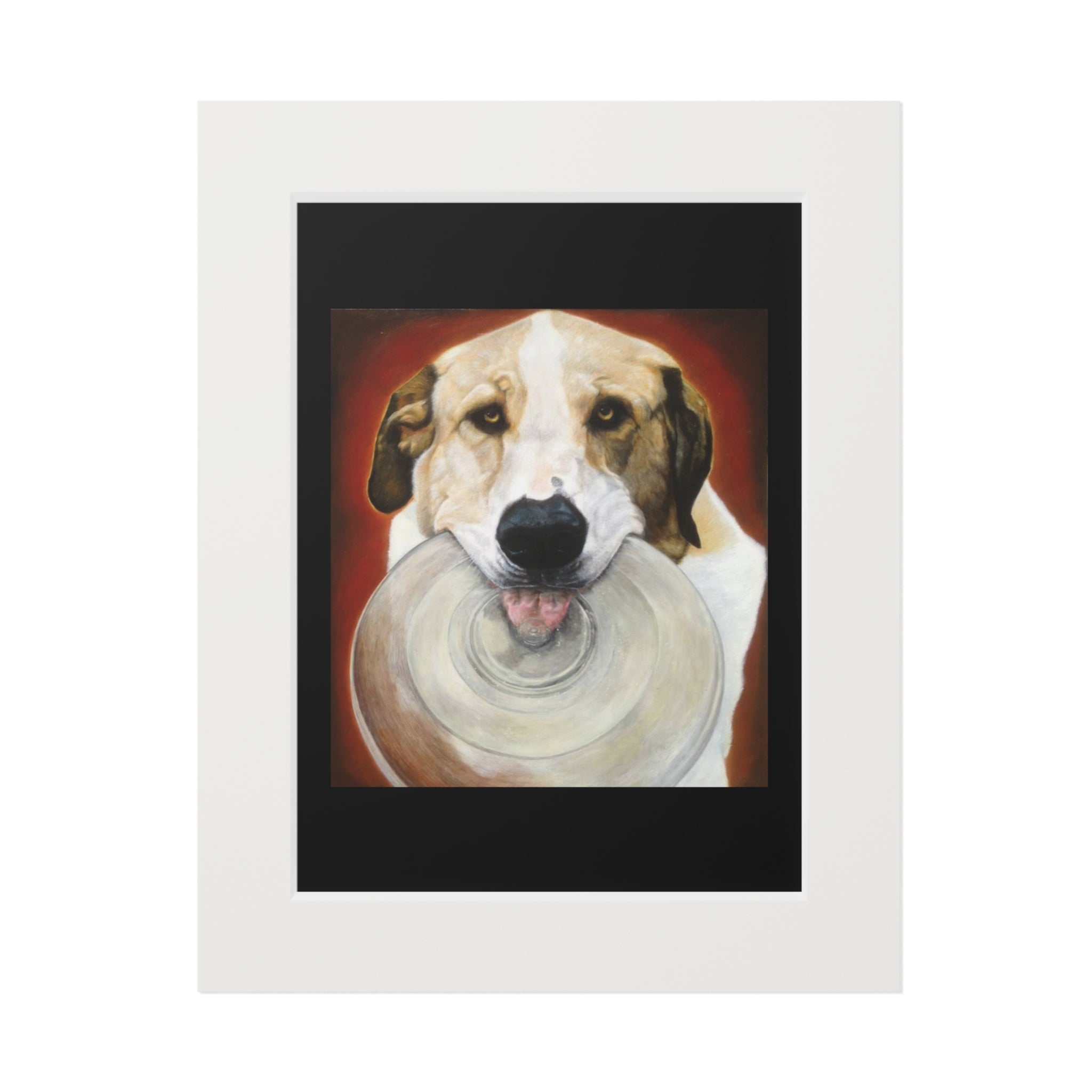 Dog with Disc Fine Art Print (Passepartout Paper Frame) - Portrait of Wookie with his transparent Frisbee (2013)
