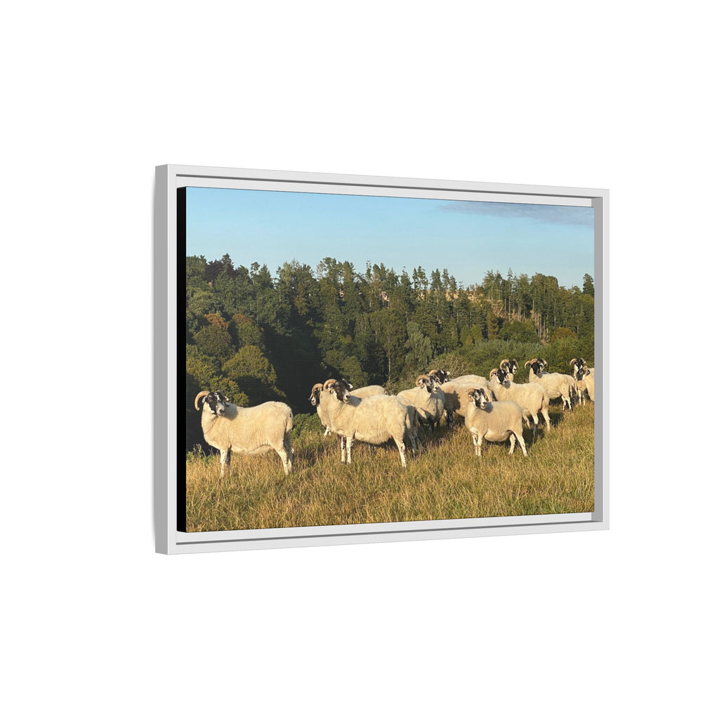 Framed Matte Canvas Print — Pastoral Sheep Landscape Wall Art