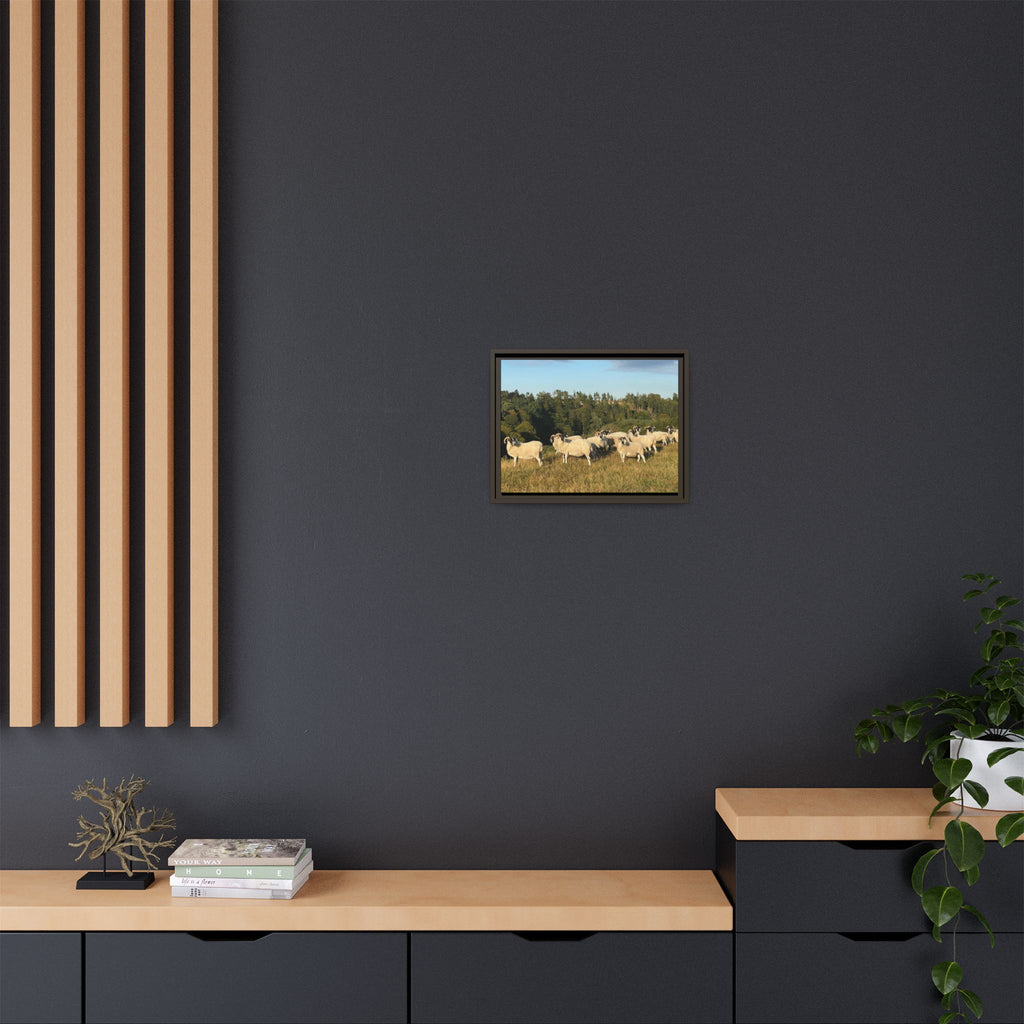 Framed Matte Canvas Print — Pastoral Sheep Landscape Wall Art