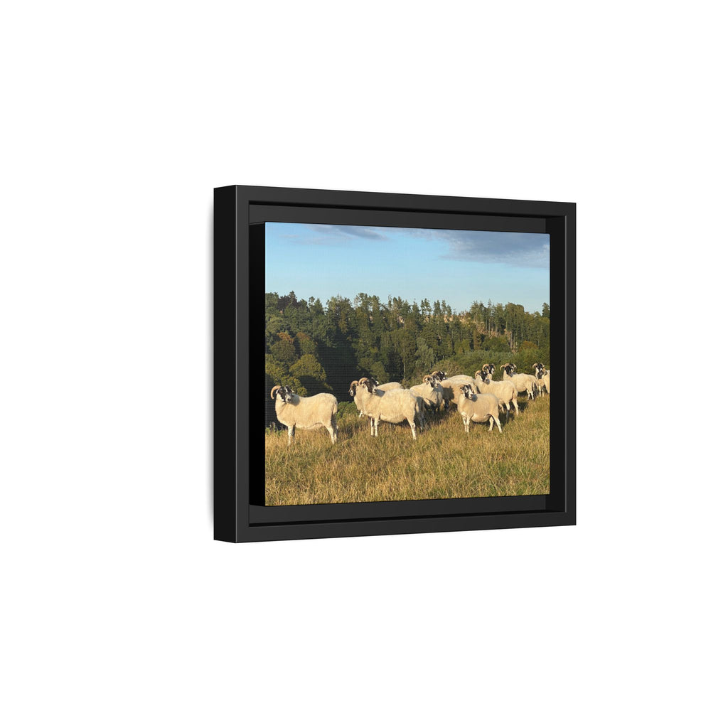 Framed Matte Canvas Print — Pastoral Sheep Landscape Wall Art
